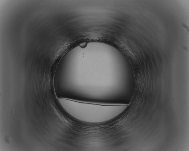 X0000093590496200710151020