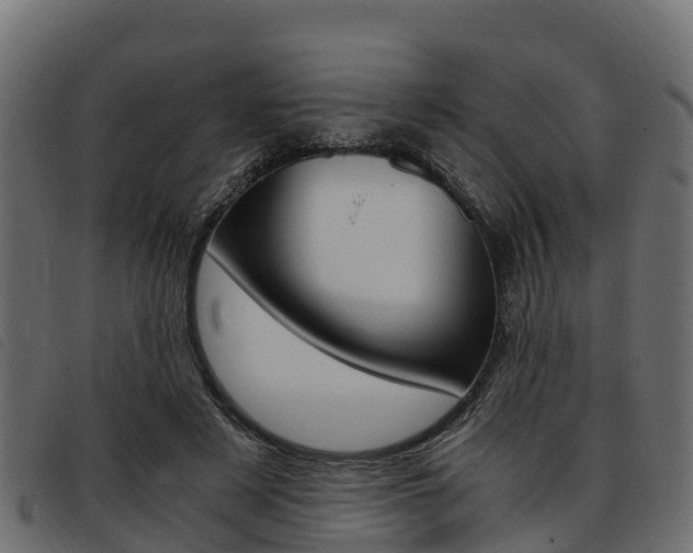 X0000093590497200710151020