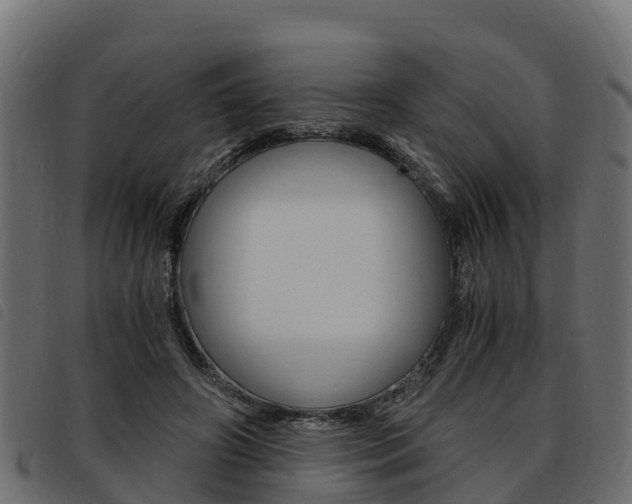 X0000093590498200710151020
