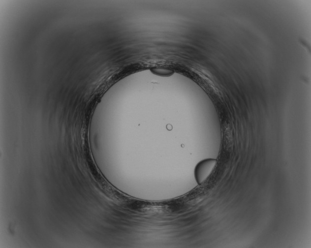 X0000093590499200710151020