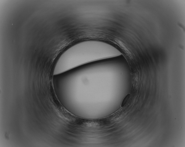 X0000093590500200710151020