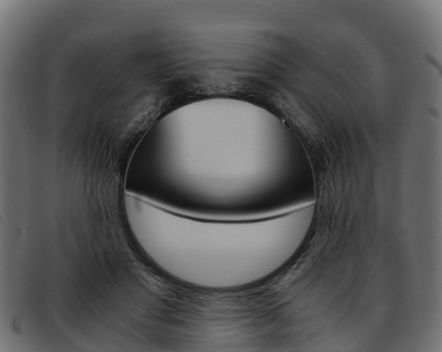 X0000093590501200710151020