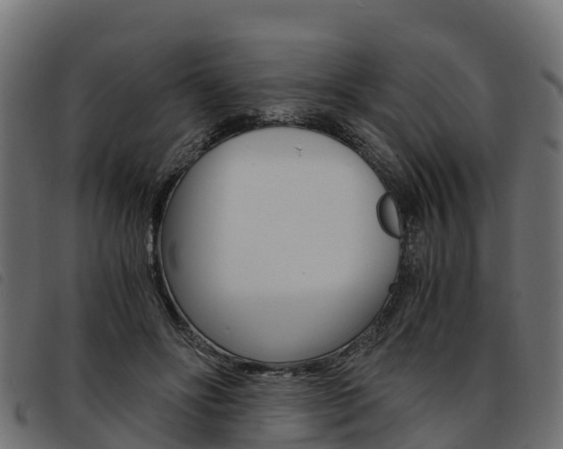 X0000093590502200710151020