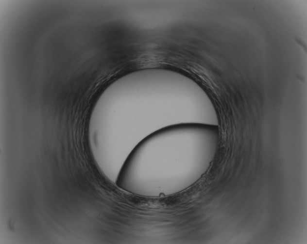 X0000093590503200710151020