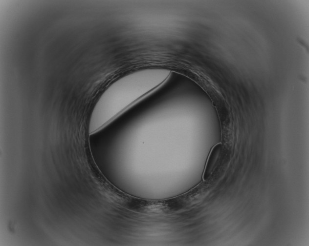 X0000093590505200710151020