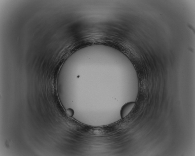 X0000093590506200710151020