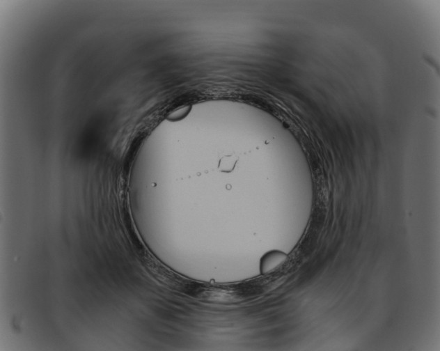 X0000093590507200710151020