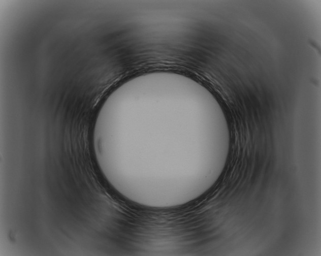 X0000093590508200710151020