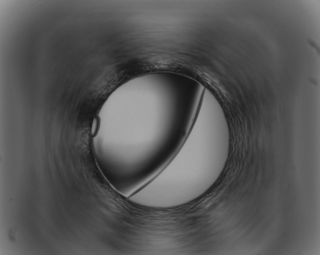 X0000093590509200710151020