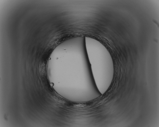X0000093590511200710151020