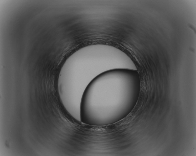 X0000093590512200710151020