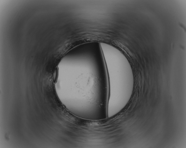 X0000093590513200710151020