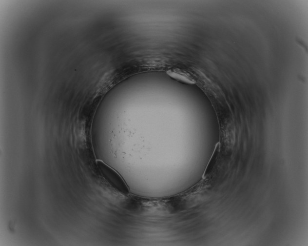 X0000093590516200710151020