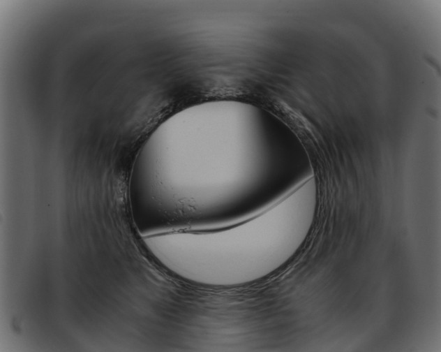 X0000093590517200710151020