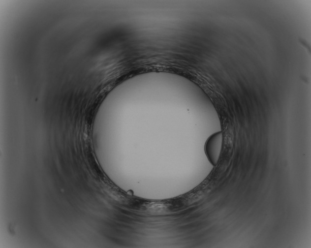 X0000093590518200710151020