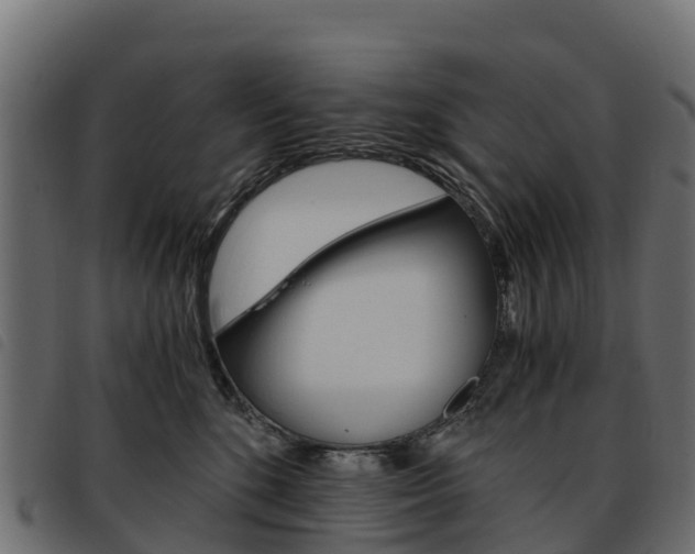 X0000093590520200710151020