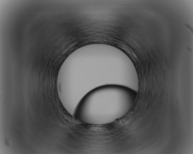 X0000093590521200710151020