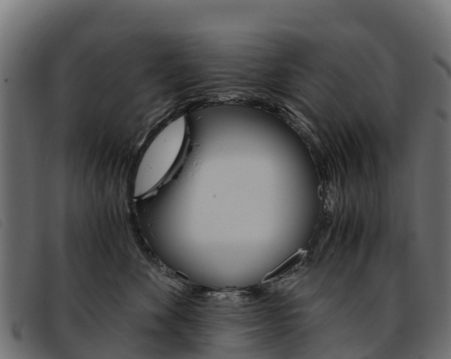 X0000093590524200710151020