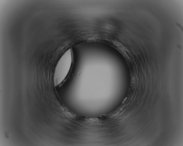 X0000093590525200710151020