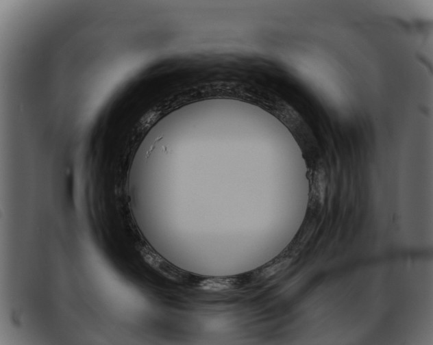 X0000093590526200710151020