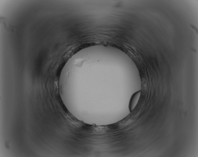 X0000093590527200710151020