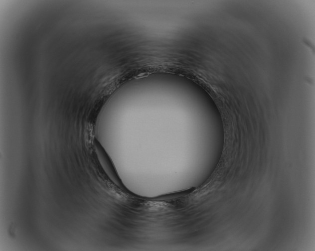 X0000093590528200710151020