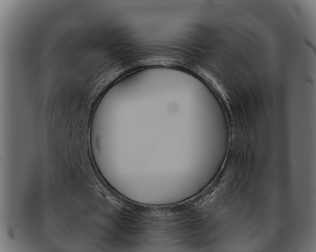 X0000093590529200710151019