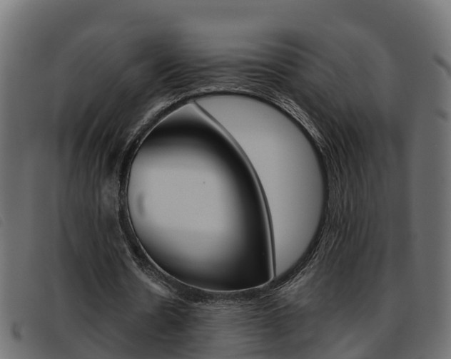 X0000093590530200710151019
