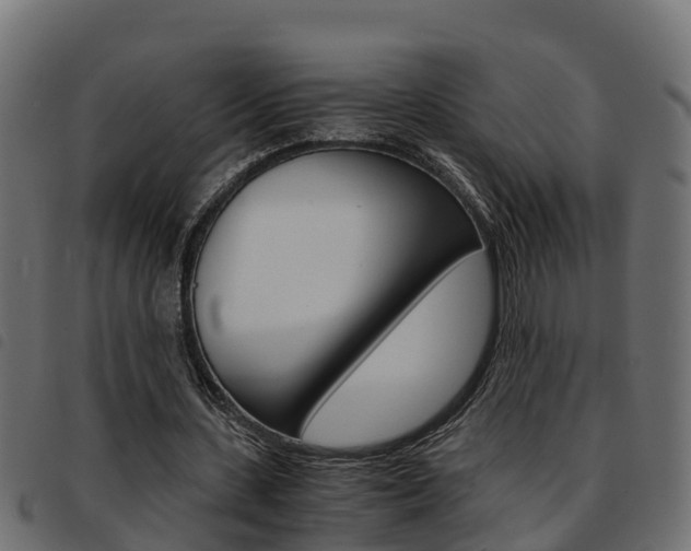 X0000093590531200710151019