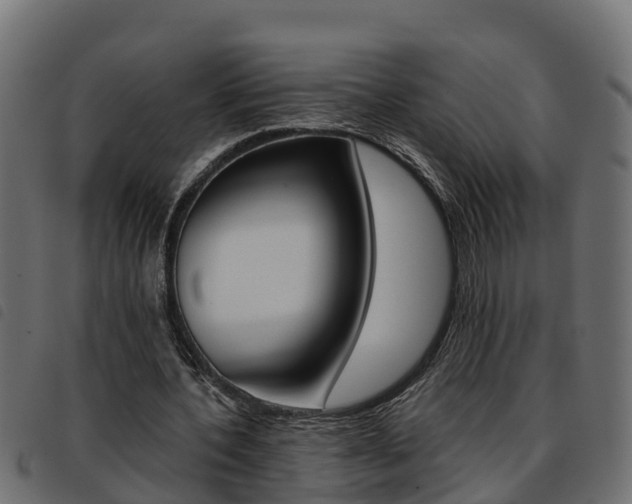 X0000093590532200710151019
