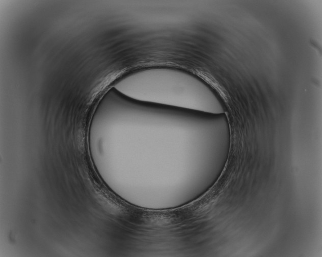 X0000093590533200710151019