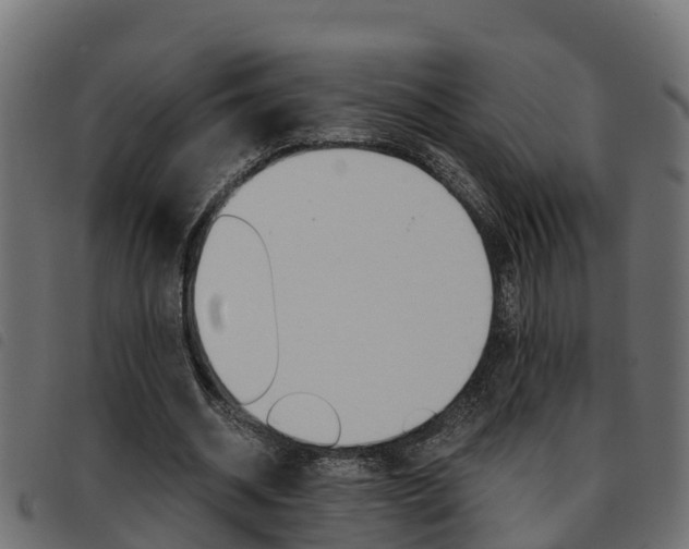X0000093590534200710151019
