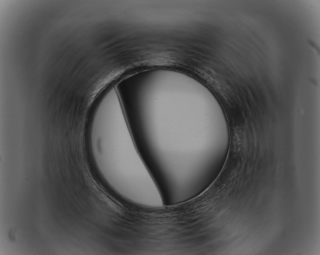 X0000093590535200710151019