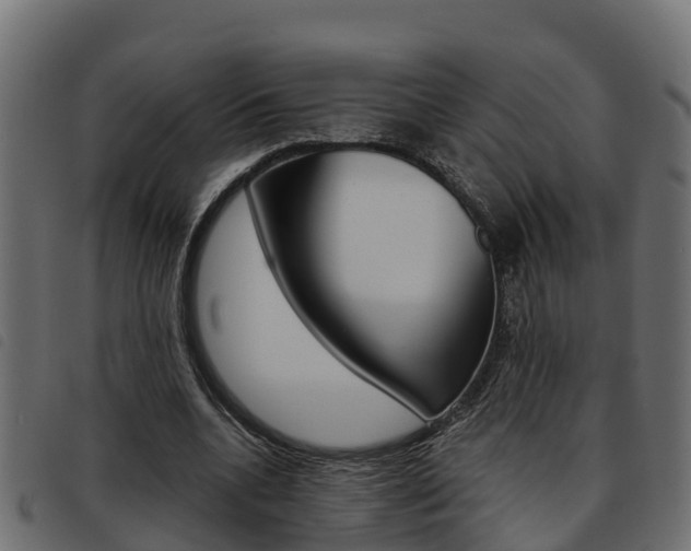 X0000093590536200710151019