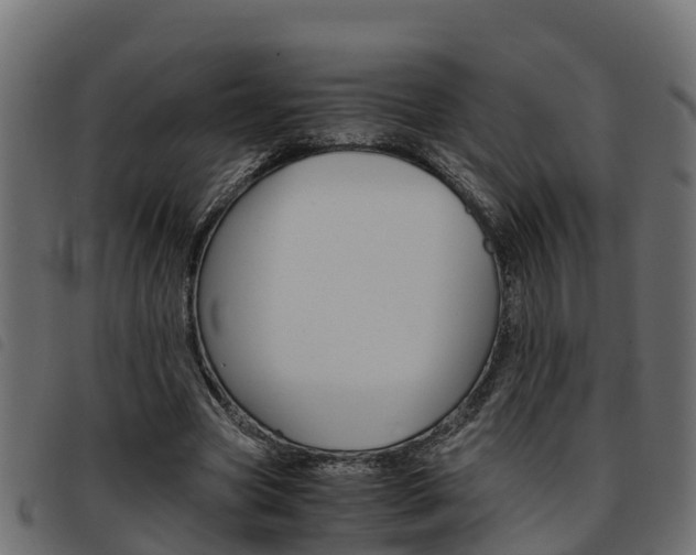 X0000093590537200710151019