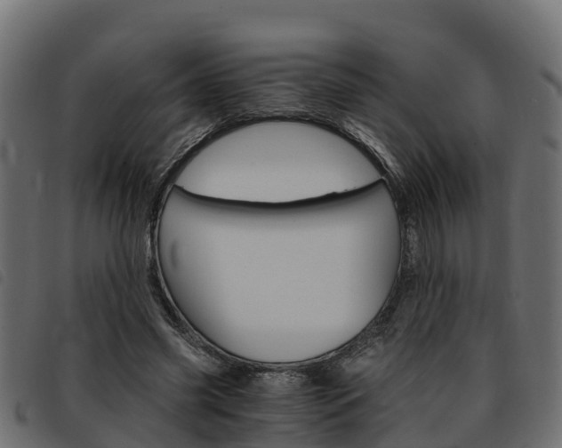 X0000093590541200710151019