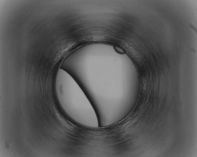X0000093590542200710151019