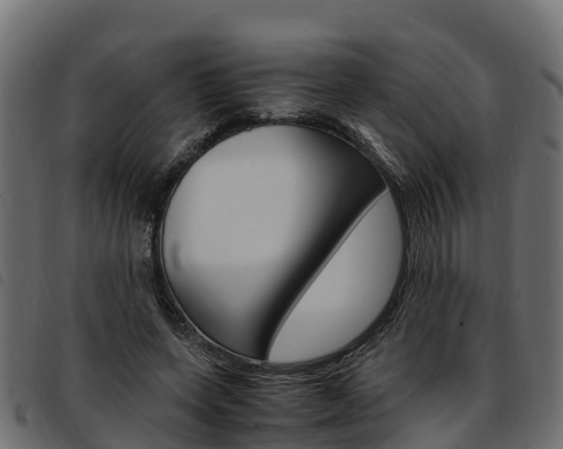 X0000093590543200710151019