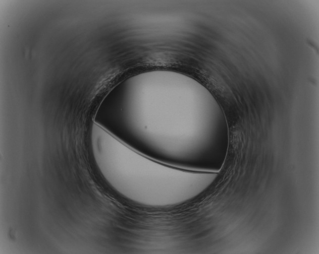 X0000093590544200710151019