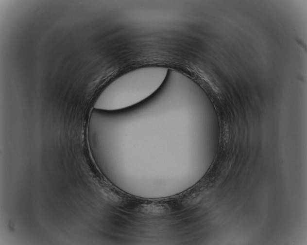 X0000093590545200710151019