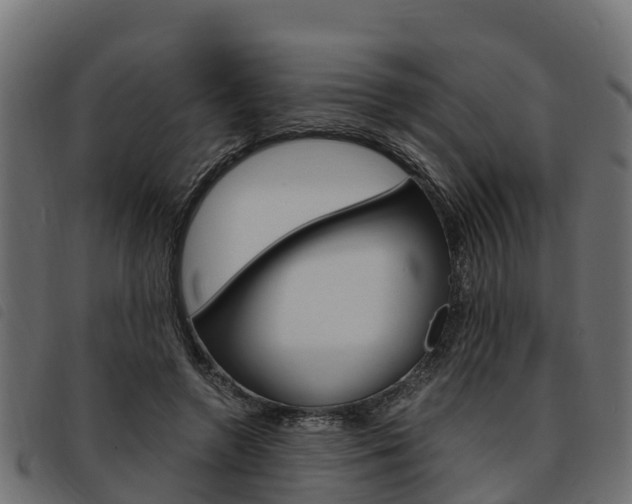 X0000093590546200710151019
