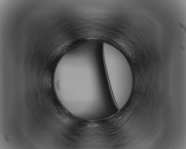 X0000093590547200710151019
