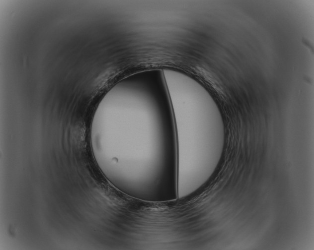 X0000093590548200710151019