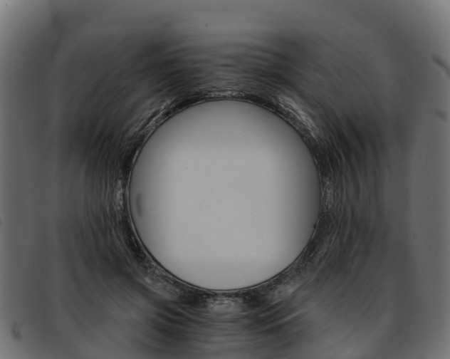 X0000093590549200710151019