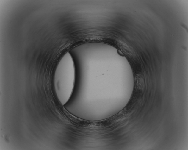 X0000093590550200710151019