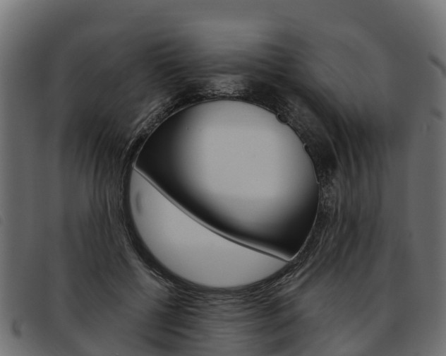 X0000093590552200710151019