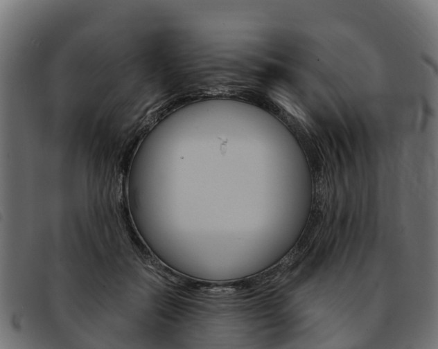 X0000093590554200710151019