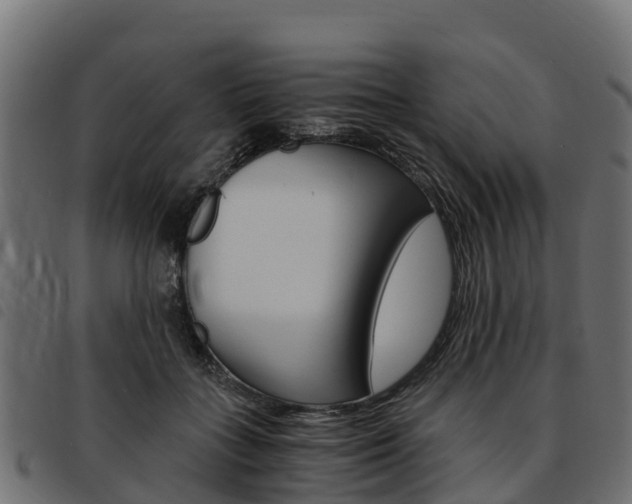 X0000093590555200710151019