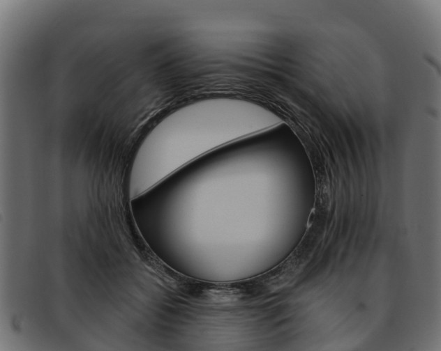 X0000093590556200710151019