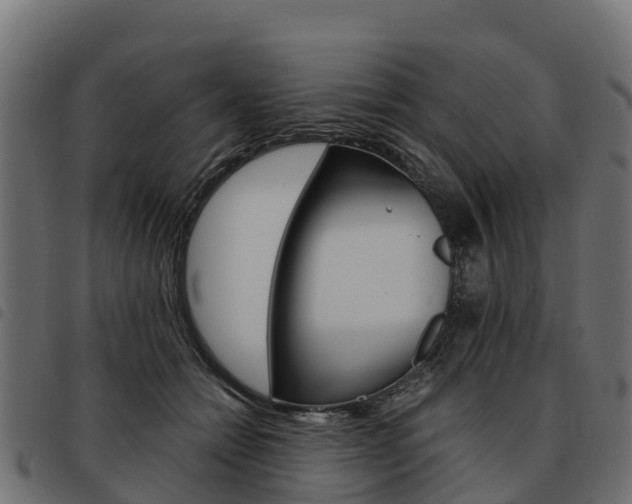 X0000093590558200710151019